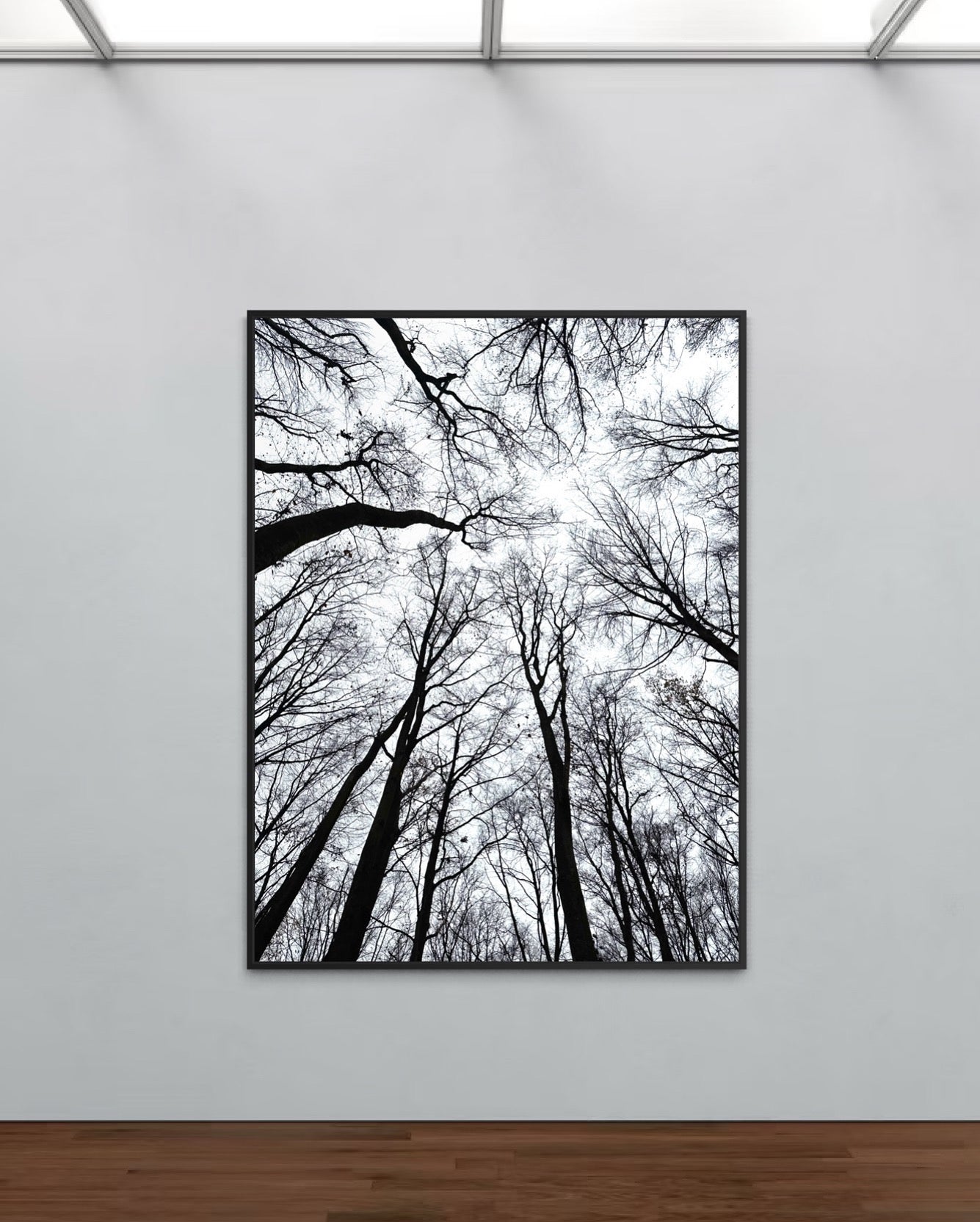 Silent Branches No. 1 Limited